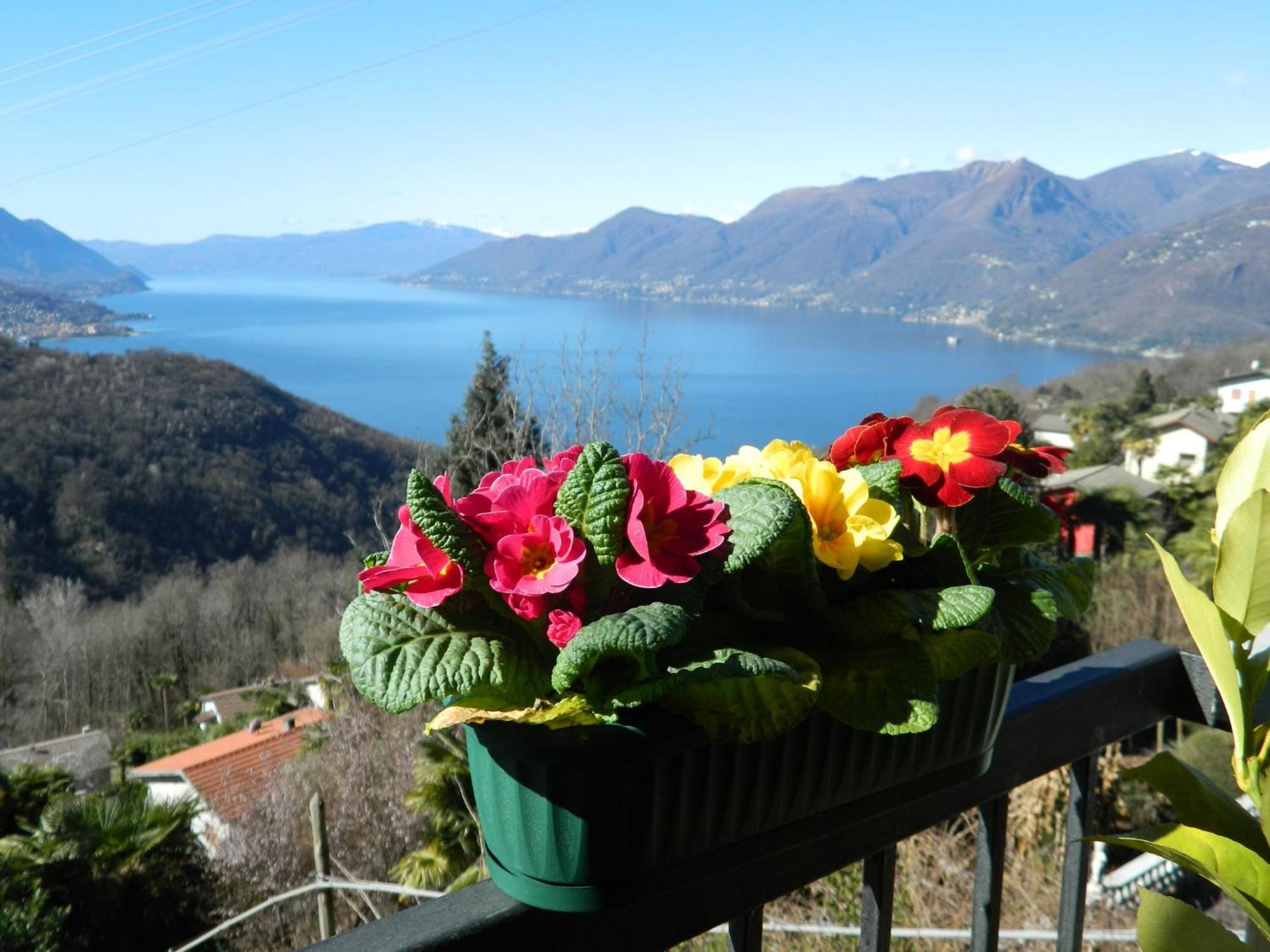 Lago Maggiore Holiday House, Lake View, Vignone Dumenza Exterior photo